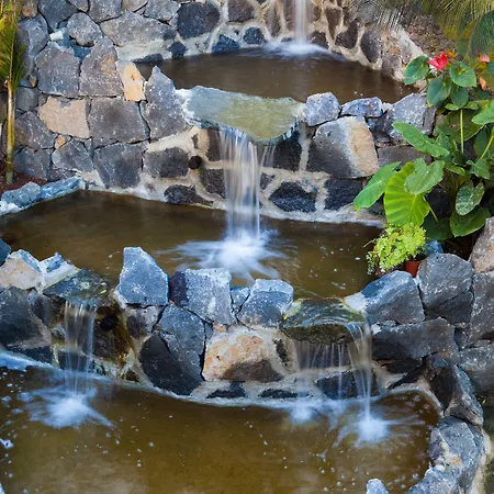 Panoramica Garden