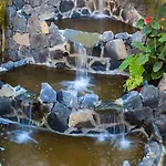 Panoramica Garden